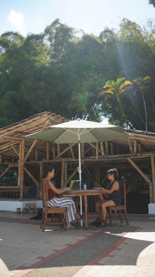 Finca La Argelia Quimbaya Buitenkant foto
