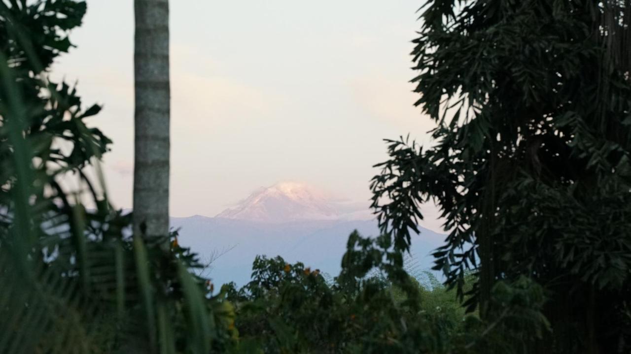 Finca La Argelia Quimbaya Buitenkant foto