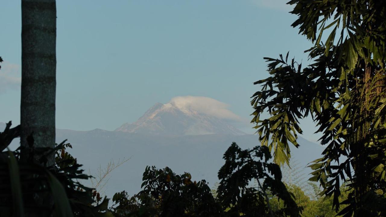 Finca La Argelia Quimbaya Buitenkant foto